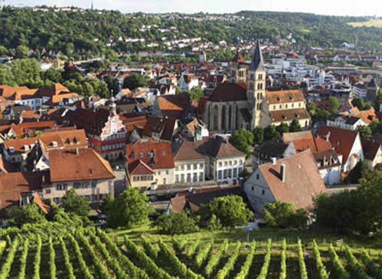 The city of Esslingen from the view of the vineyards.